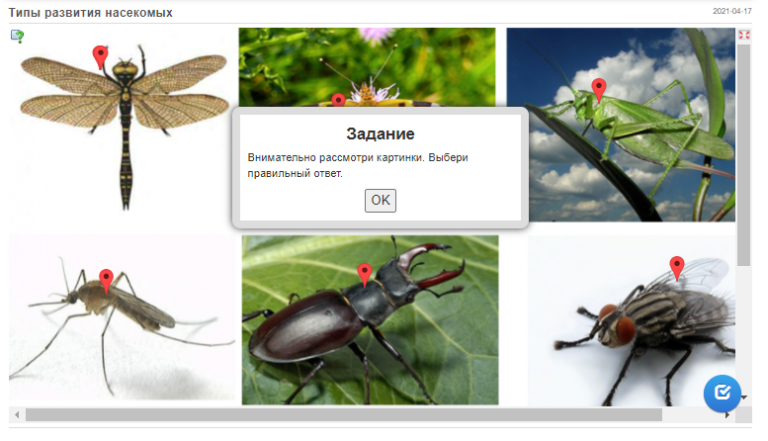 насекомыее.png