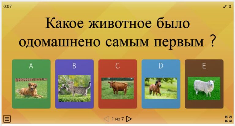 какое.jpg