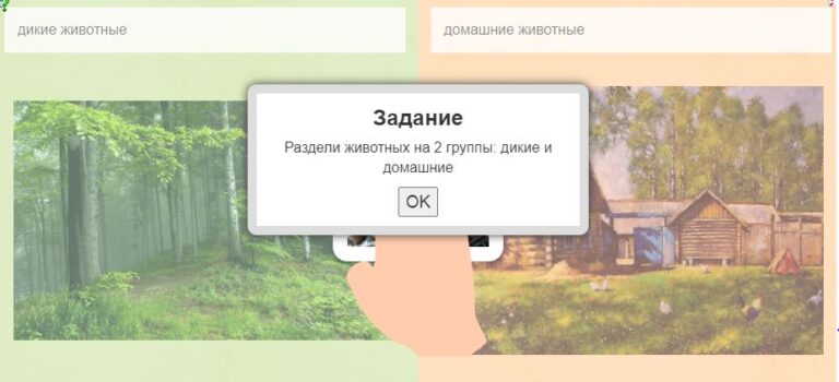 классифик.jpg